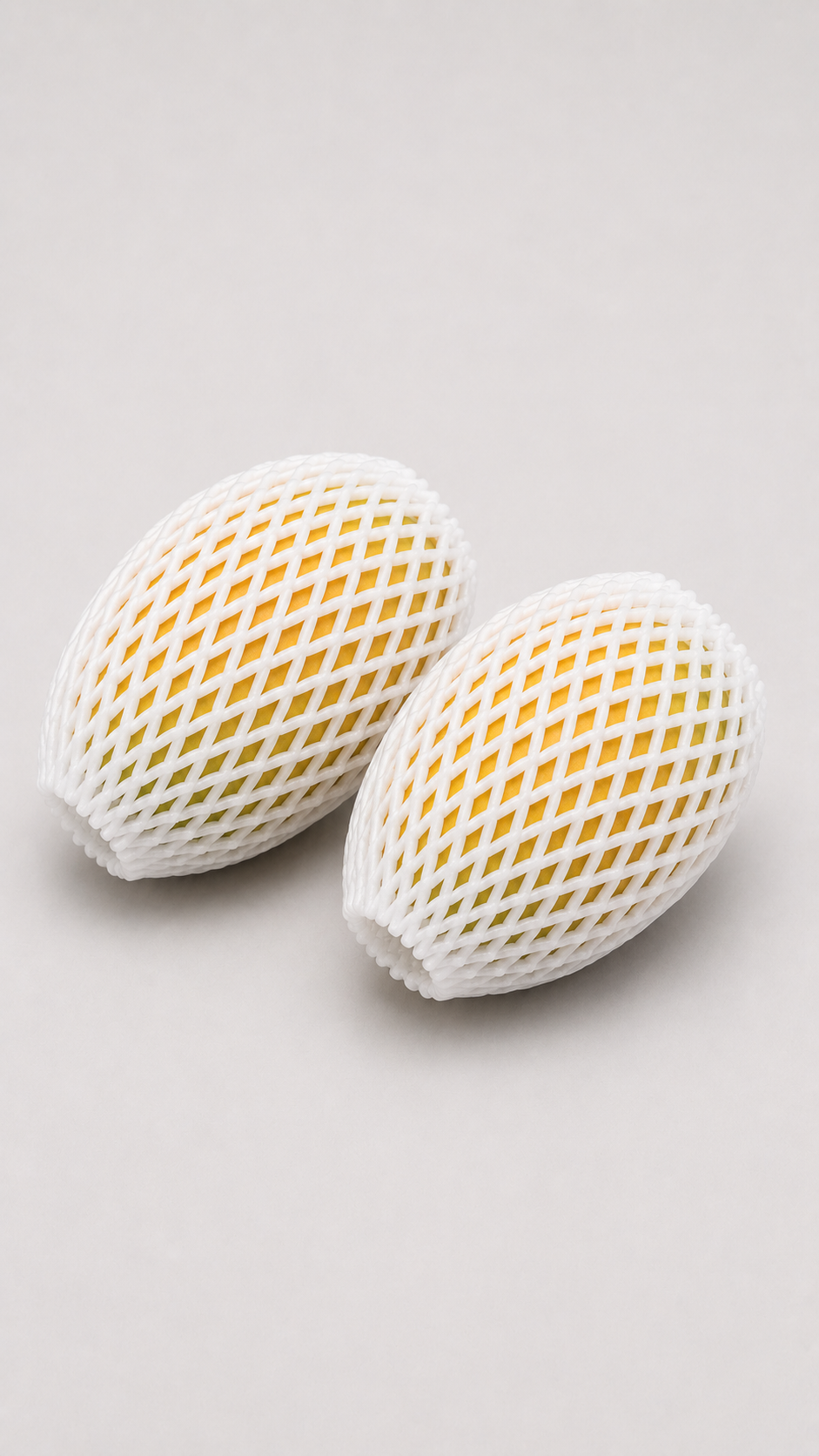 Mango Protection